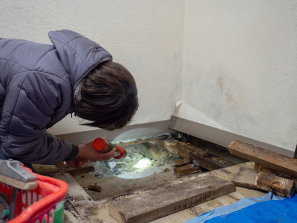 Mold Removal for HVAC Installations in White City, FL