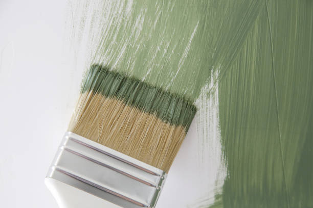 Best Emergency Mold Remediation  in White City, FL