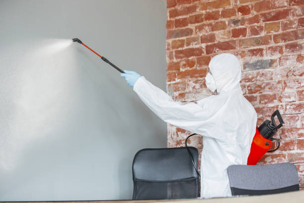 Best Post-Remediation Verification Testing  in White City, FL