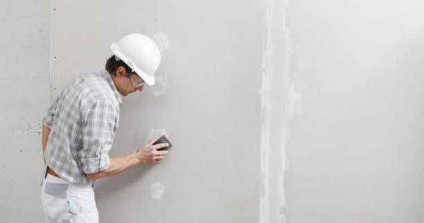 Best Black Mold Removal  in White City, FL