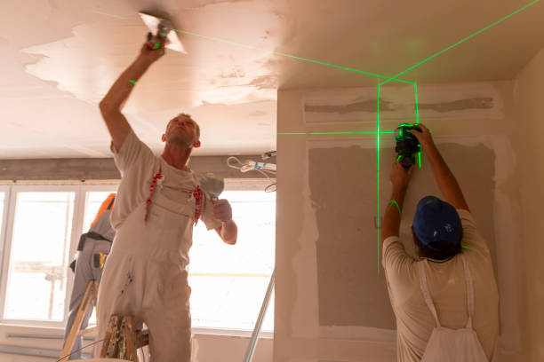 Best Mold Odor Removal Services  in White City, FL